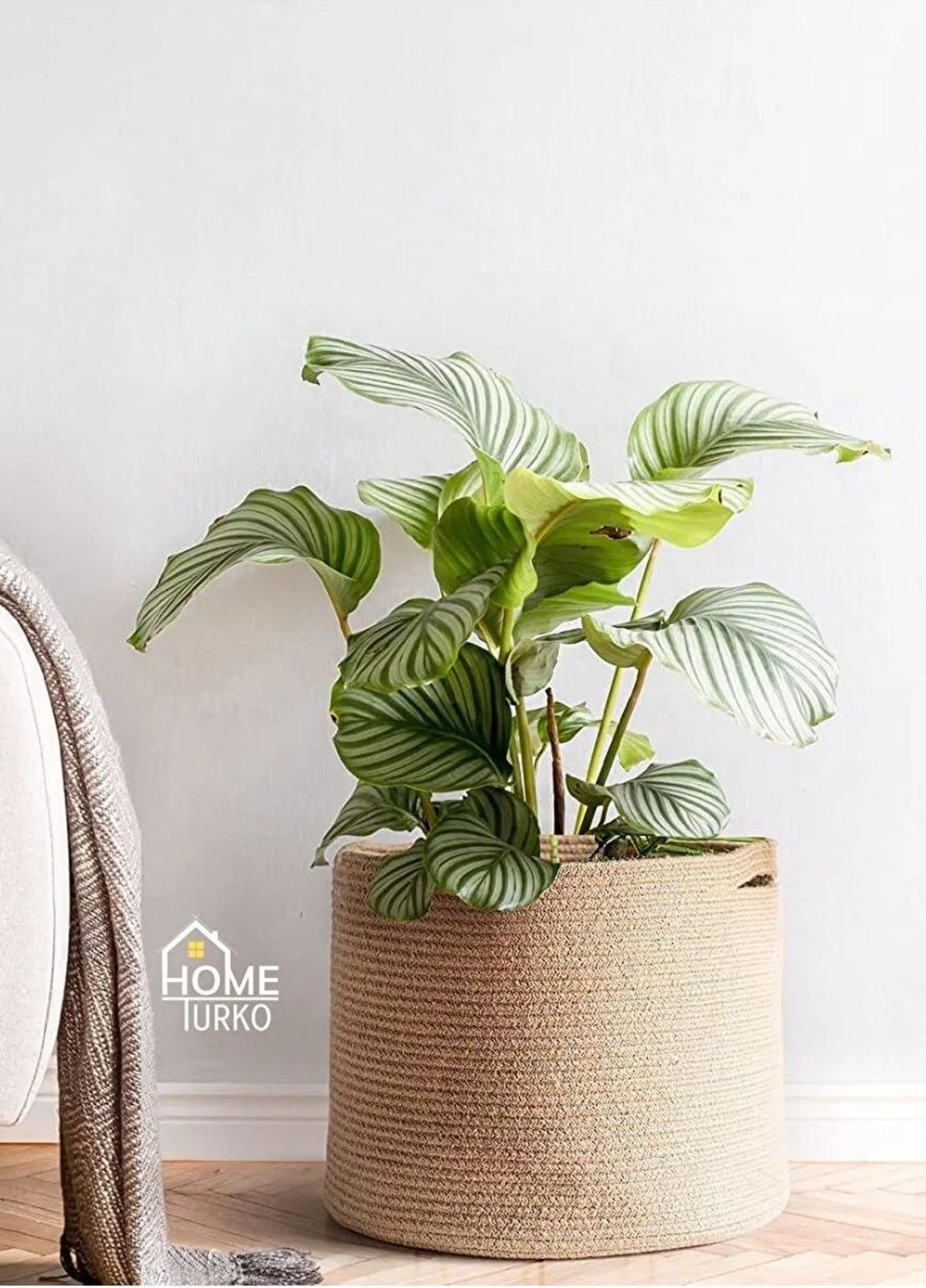 Bohem Saksı / Sepet Düzenleyici