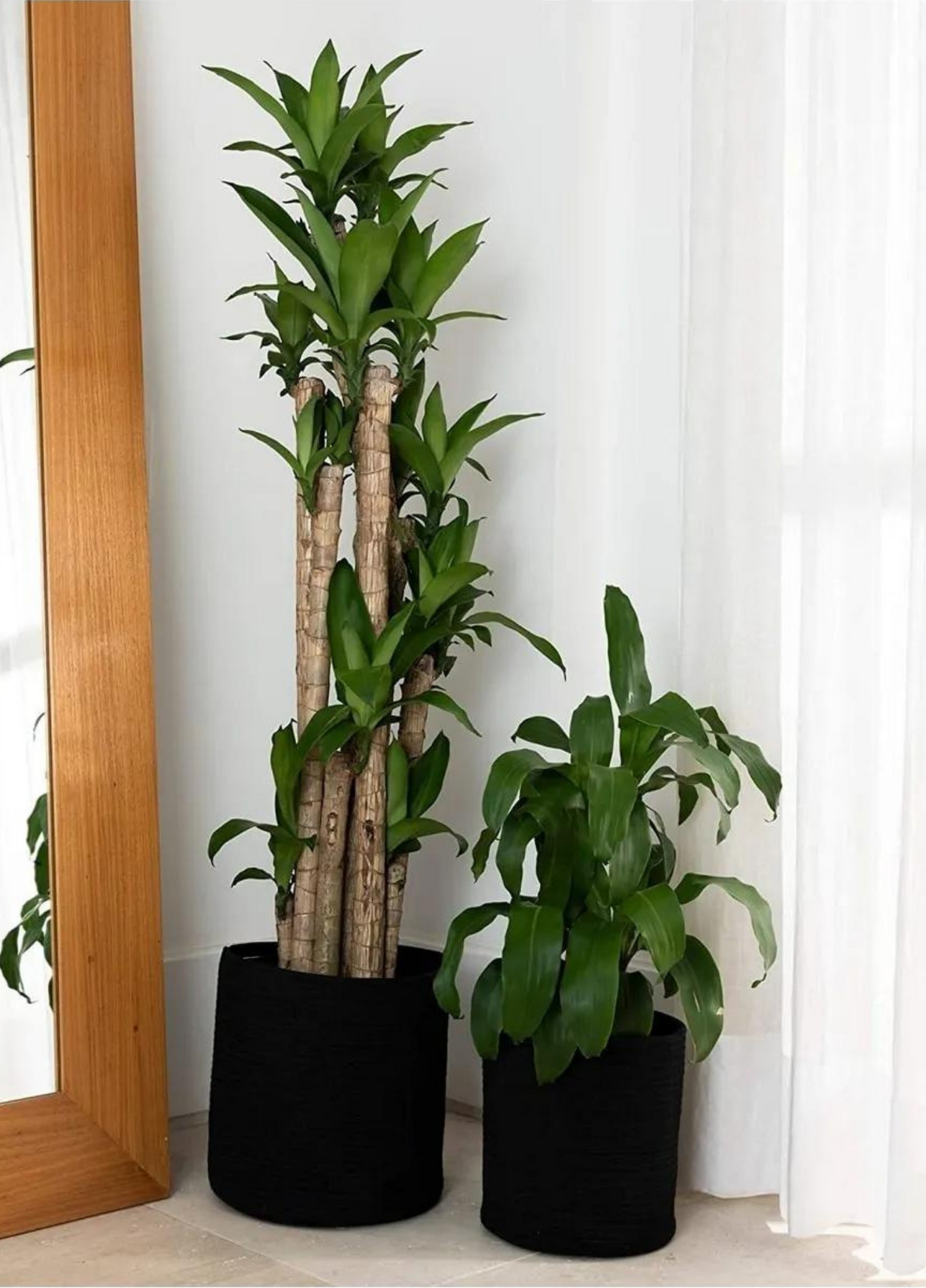 2'li Sepet / Saksı Takımı