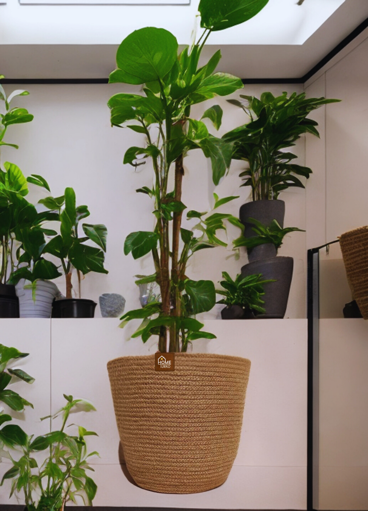 Jüt Saksılık / Sepet