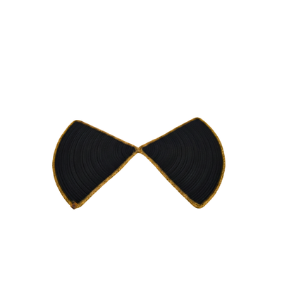 Large image